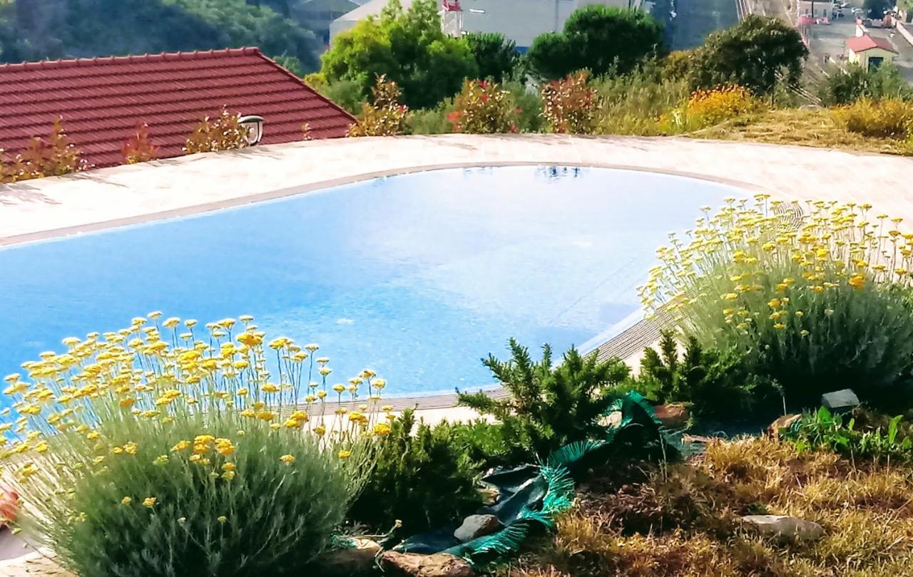 Taggiasca A Riva Trigoso * Sestri Levante