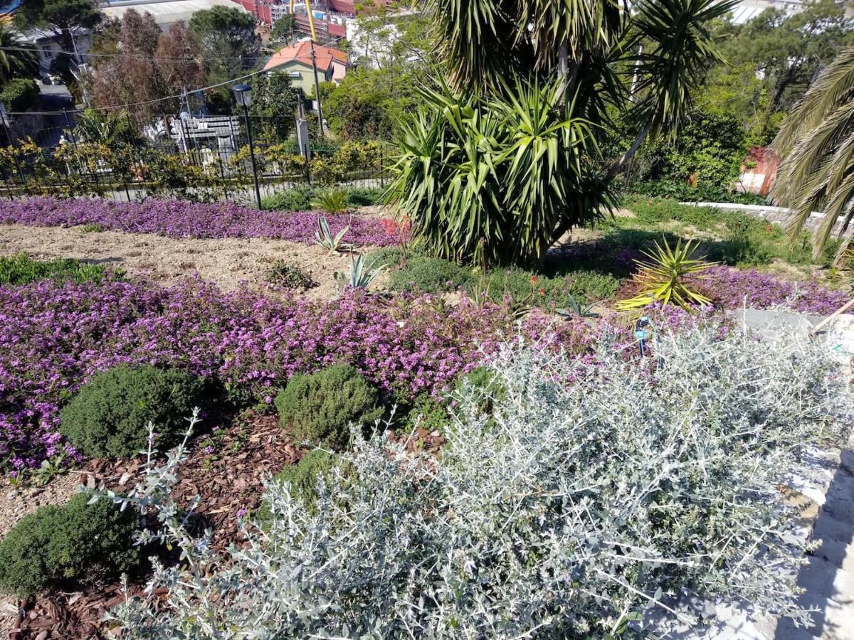 Apartment Taggiasca A Riva Trigoso
