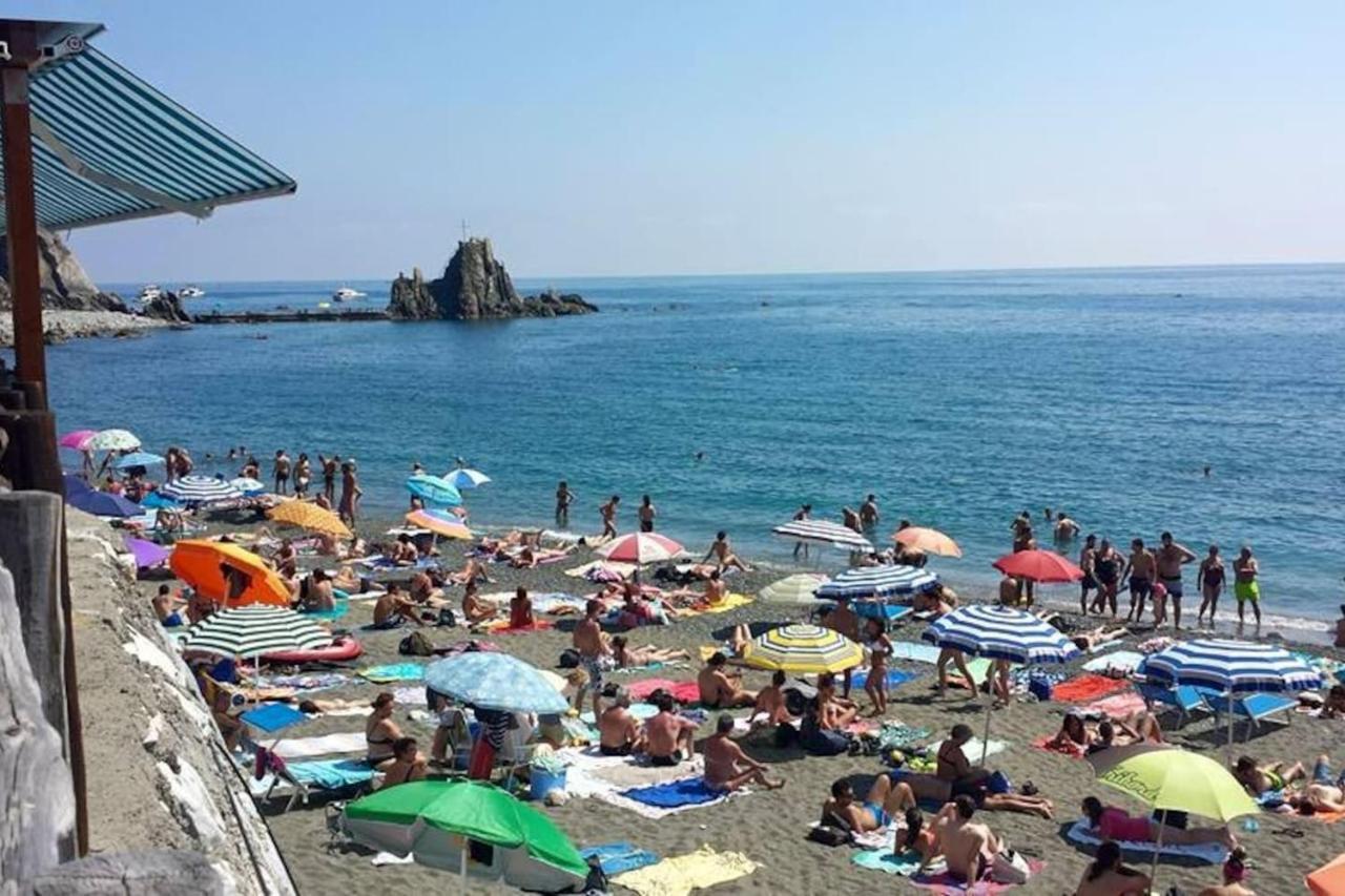 Taggiasca A Riva Trigoso