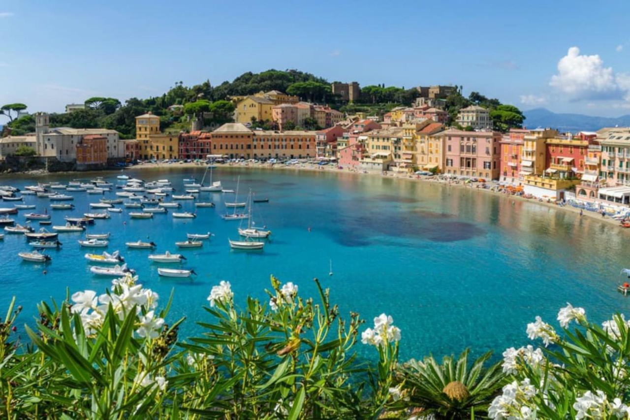 Taggiasca A Riva Trigoso * Sestri Levante